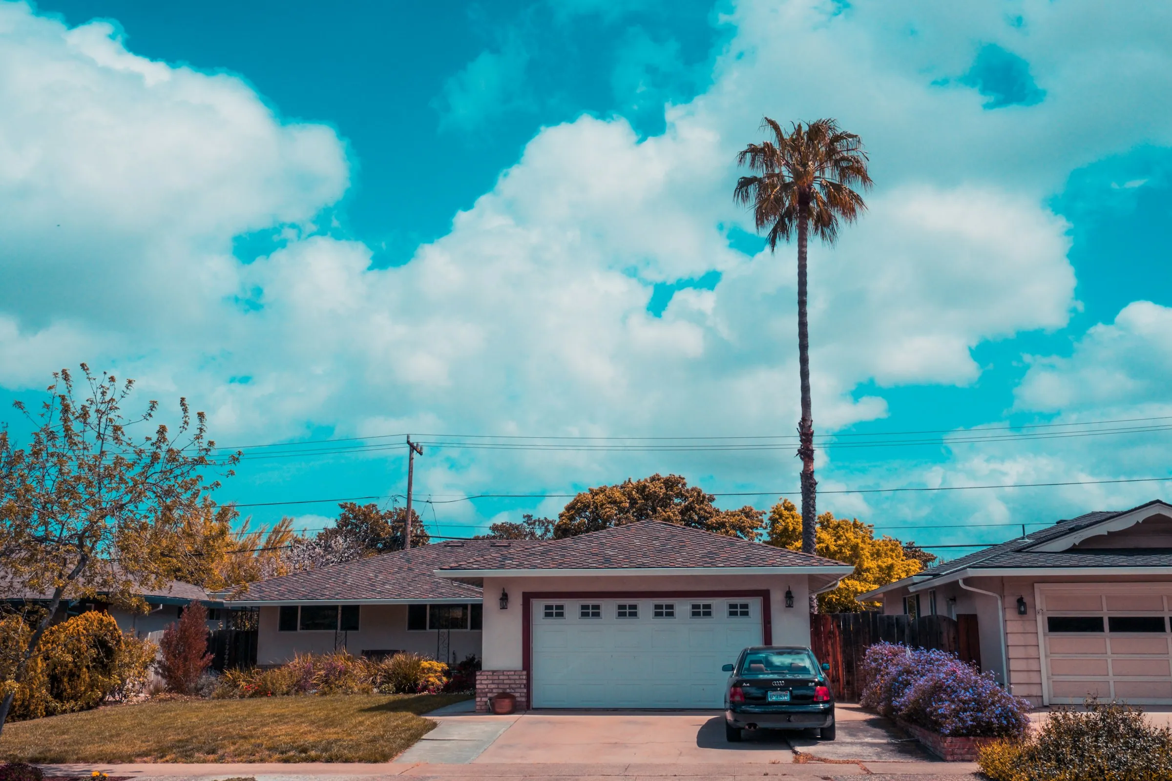 Single-storey home with a white raised-panel double garage door and a palm tree